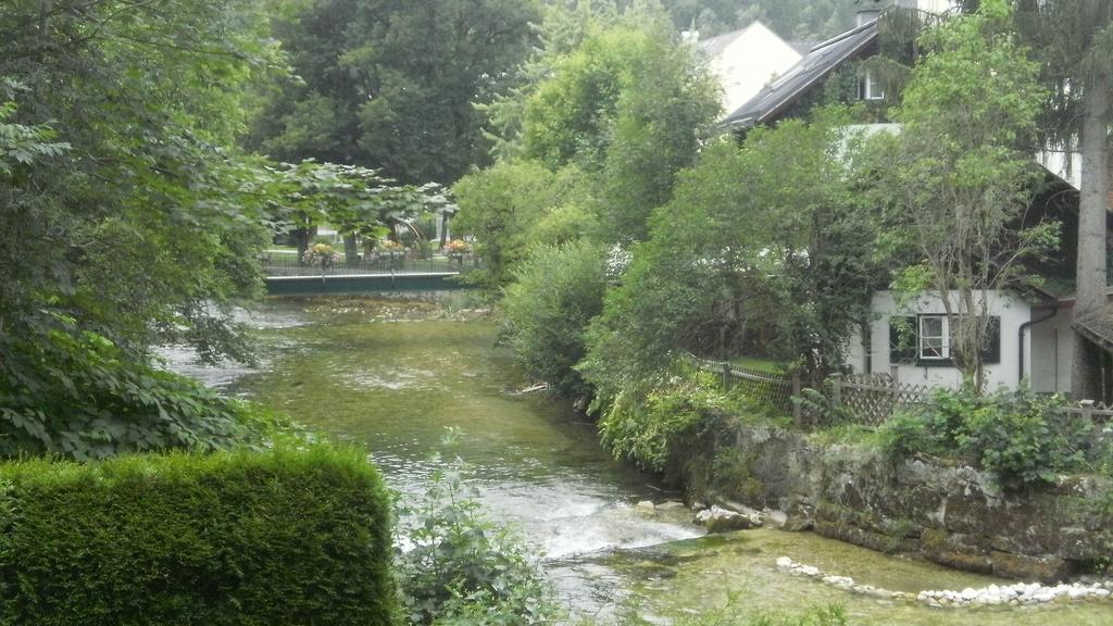 Apartment An Der Traun Bad Aussee Phòng bức ảnh
